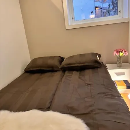Apartment Koselig Og Sentralt Blant Lokalbefolkningen - Netflix - Parkering *